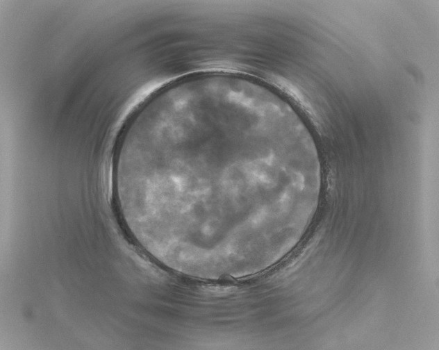 X0000114111323200911161111