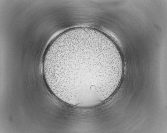 X0000114111324200911161111