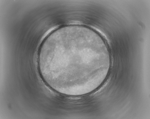 X0000114111325200911161111