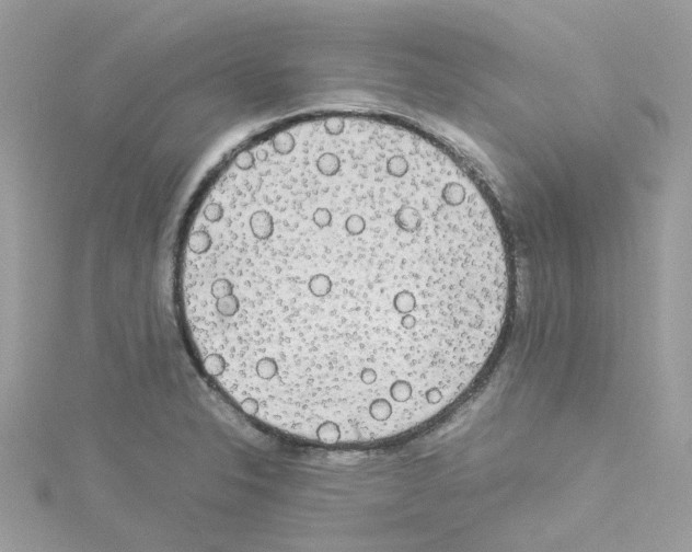 X0000114111326200911161111