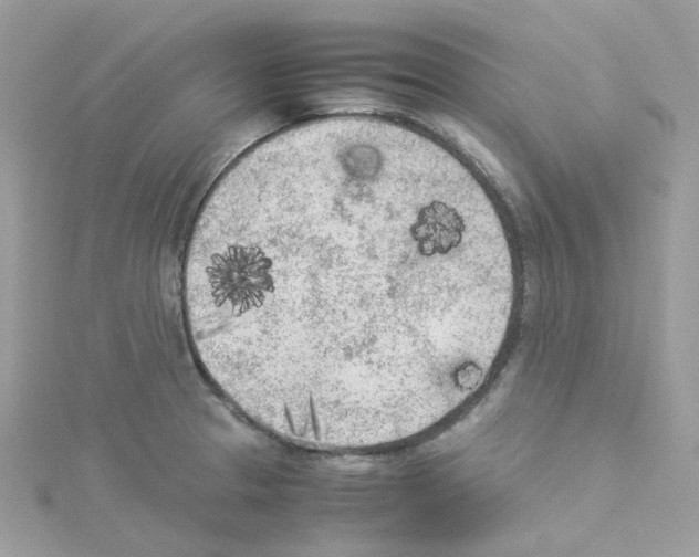 X0000114111329200911161111