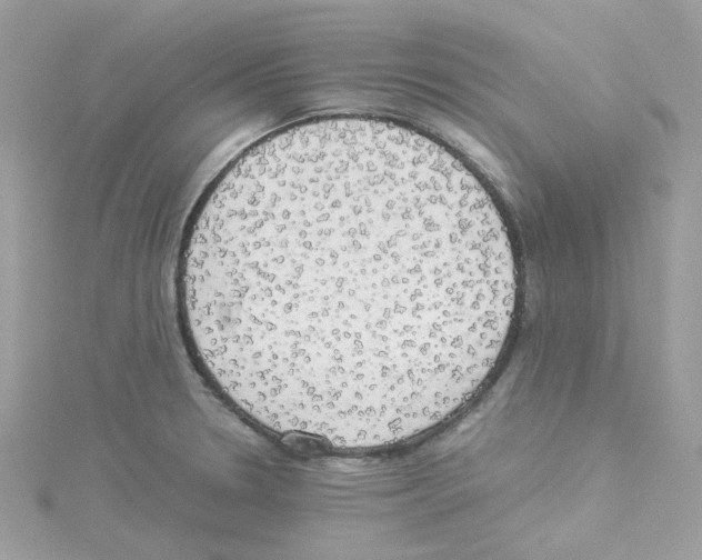 X0000114111330200911161111