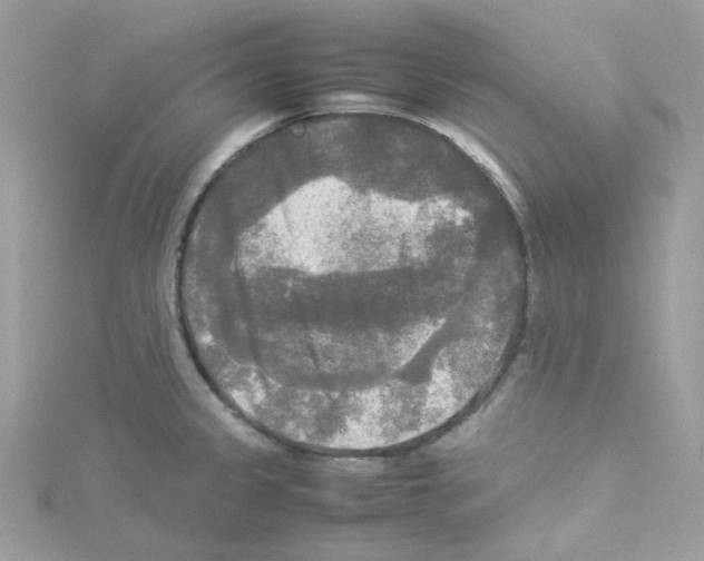 X0000114111333200911161111