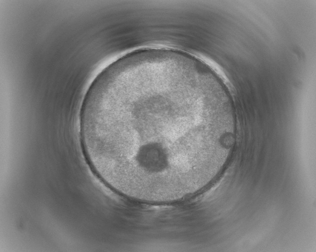 X0000114111335200911161111