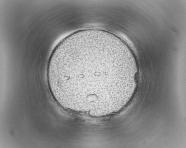 X0000114111336200911161111