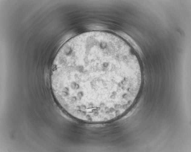 X0000114111337200911161111