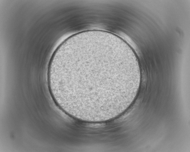 X0000114111339200911161111