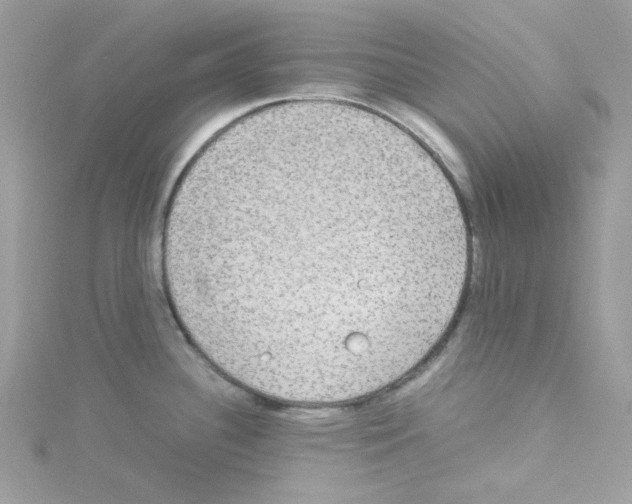 X0000114111340200911161111