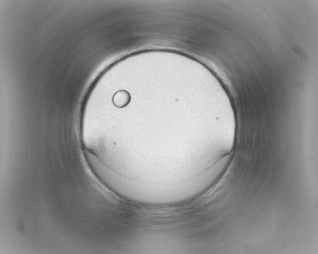 X0000114111342200911161111