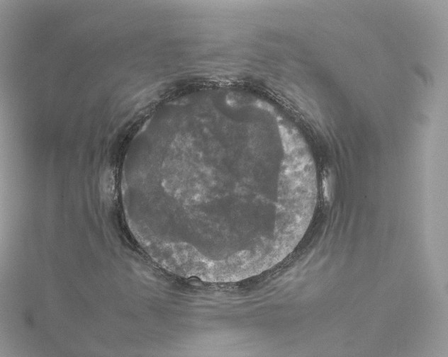 X0000114111347200911161110