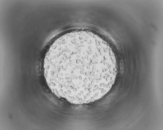 X0000114111352200911161110