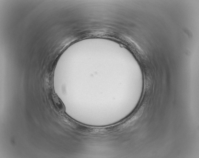 X0000114111353200911161110