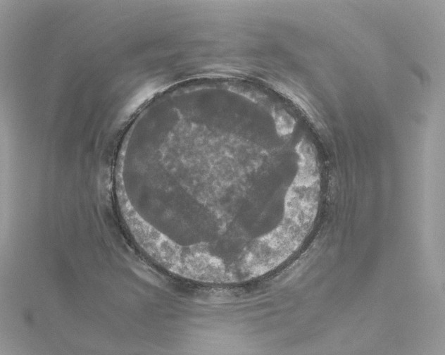 X0000114111355200911161110