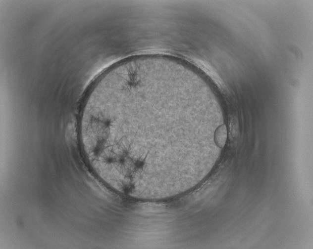 X0000114111356200911161110