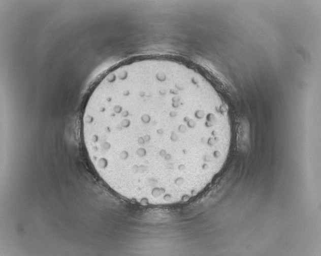 X0000114111358200911161110