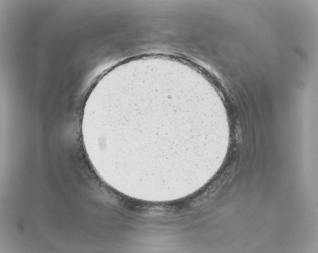 X0000114111359200911161110