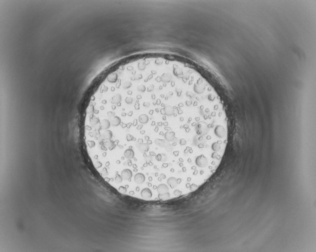 X0000114111360200911161110