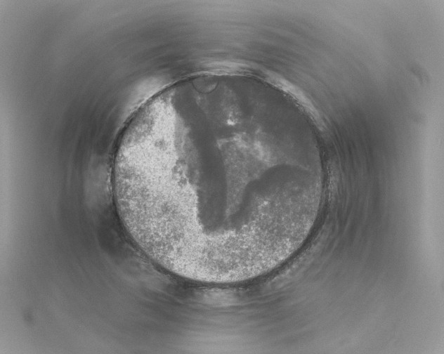 X0000114111362200911161110