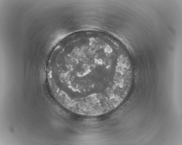 X0000114111363200911161110