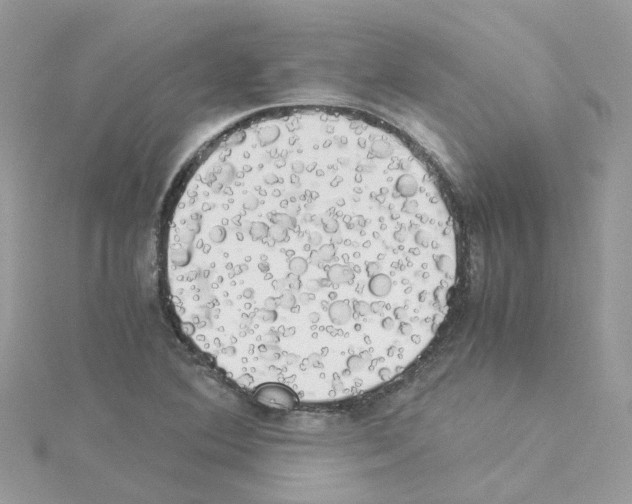 X0000114111364200911161110