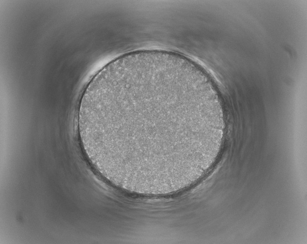 X0000114111367200911161110