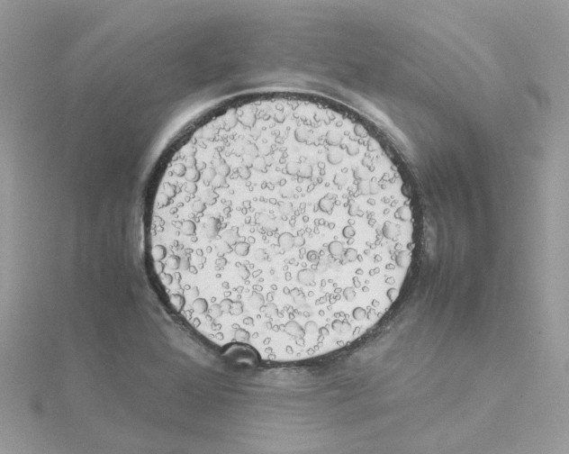 X0000114111368200911161110