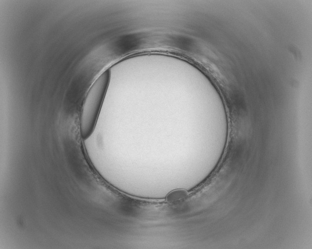 X0000114111369200911161110