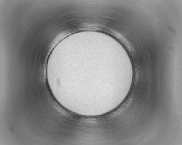 X0000114111370200911161110