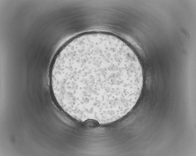 X0000114111372200911161110