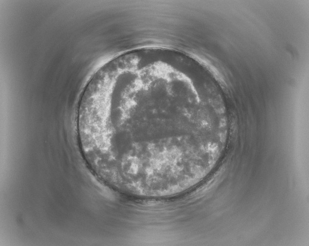 X0000114111375200911161110