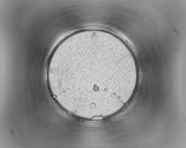 X0000114111376200911161110