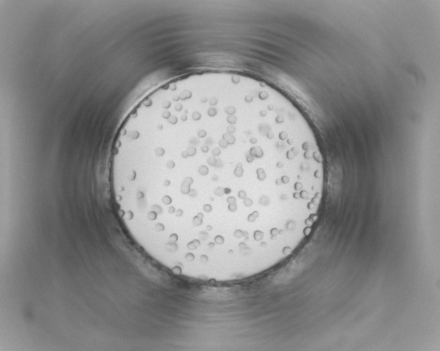 X0000114111378200911161110