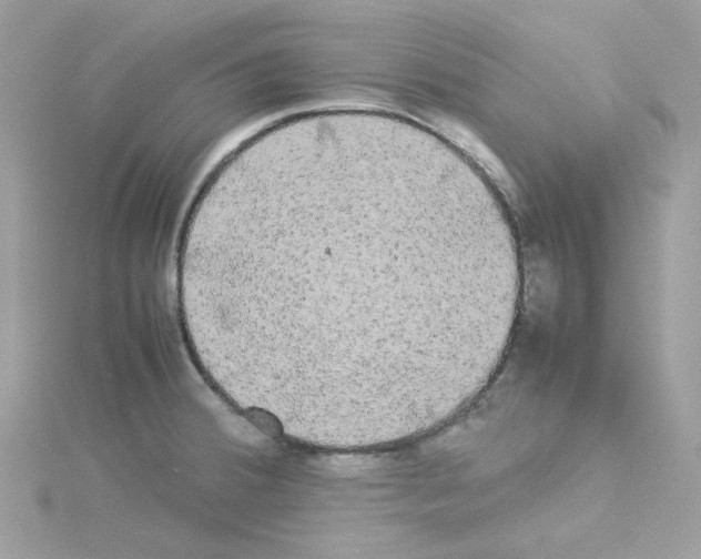 X0000114111380200911161110