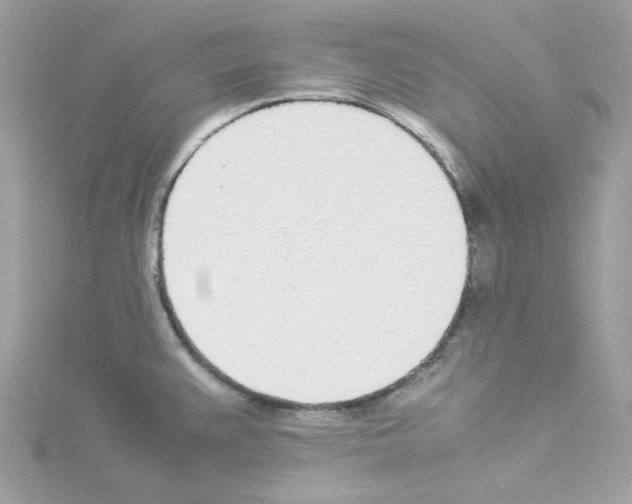 X0000114111383200911161110