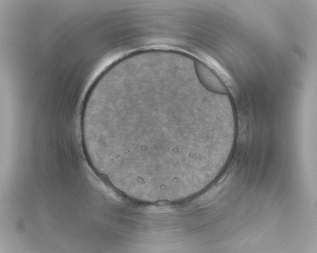 X0000114111384200911161110