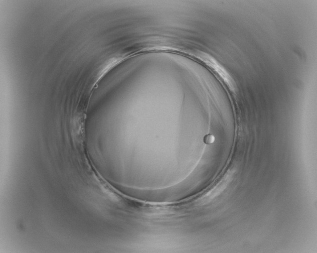 X0000114111385200911161110