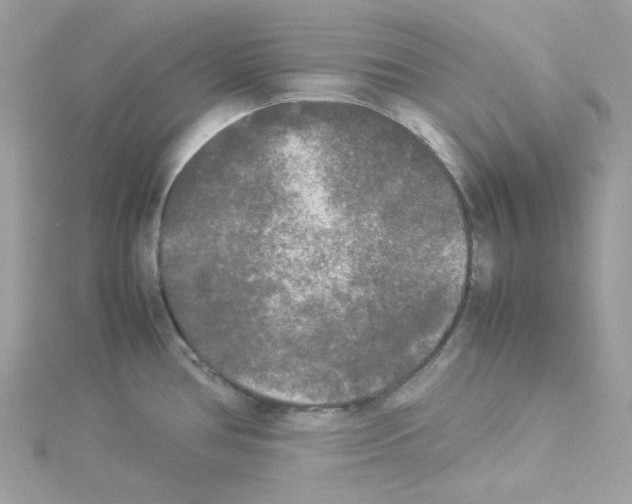 X0000114111386200911161110