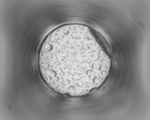 X0000114111388200911161110