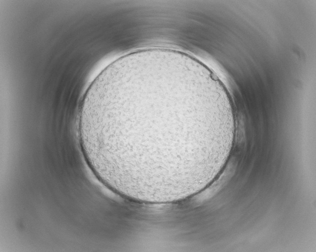 X0000114111390200911161110