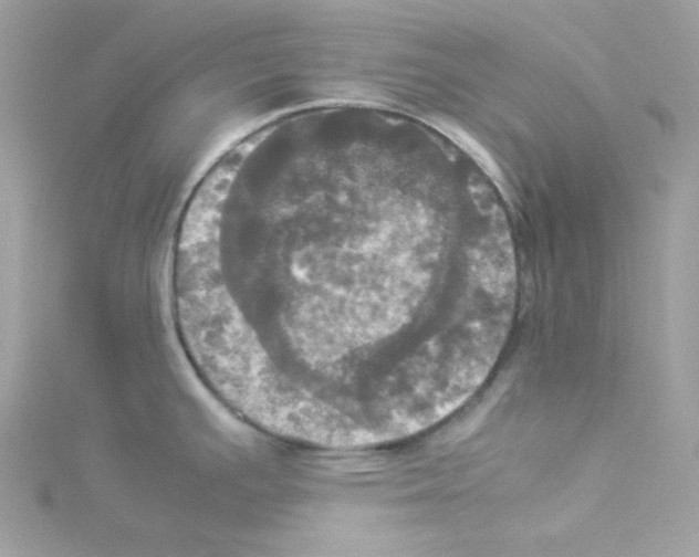 X0000114111391200911161110