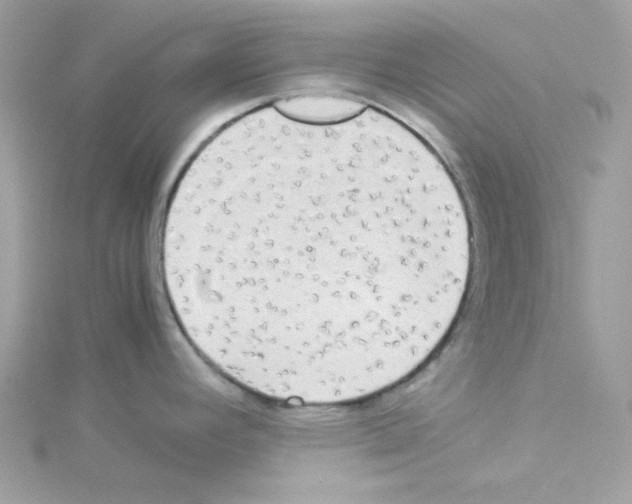 X0000114111392200911161110