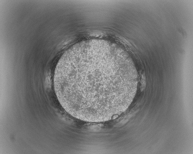 X0000114111394200911161109