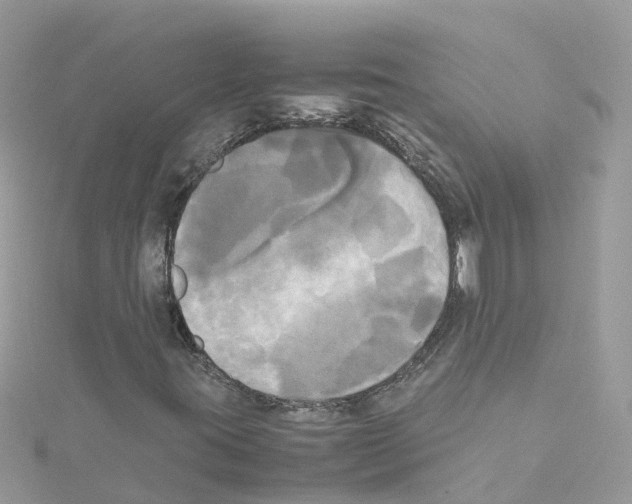 X0000114111395200911161109