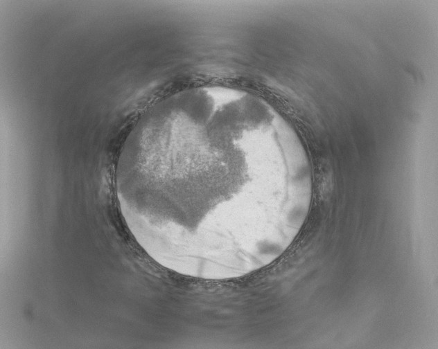 X0000114111397200911161109