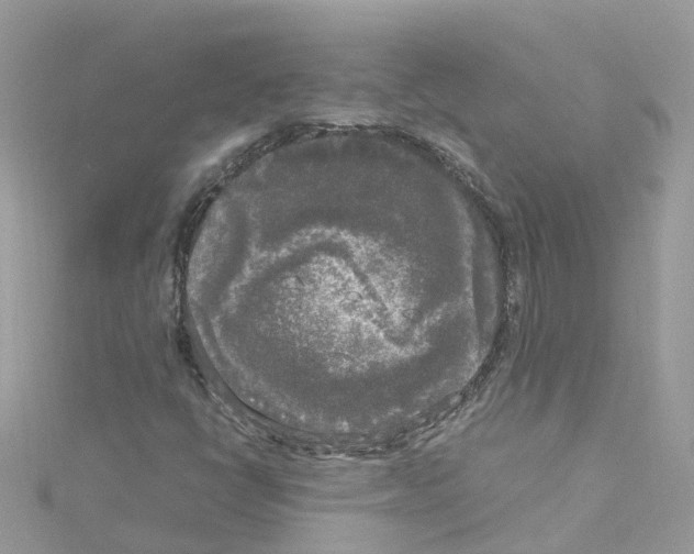 X0000114111398200911161109