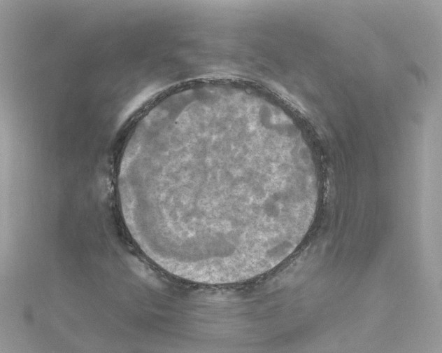 X0000114111400200911161109