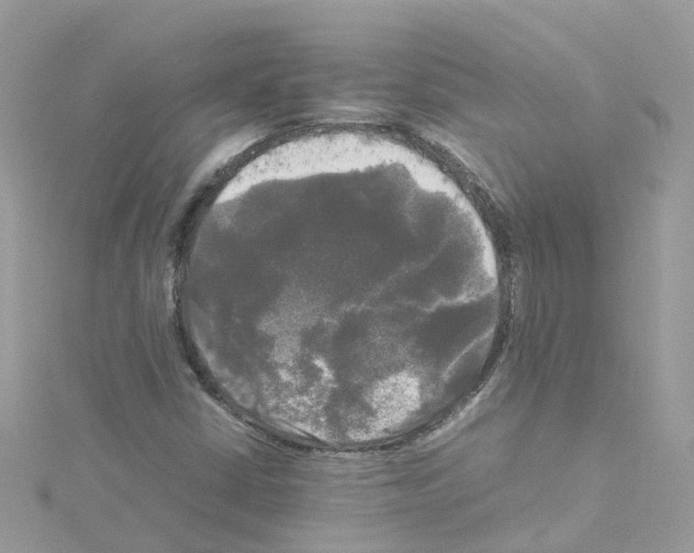 X0000114111402200911161109