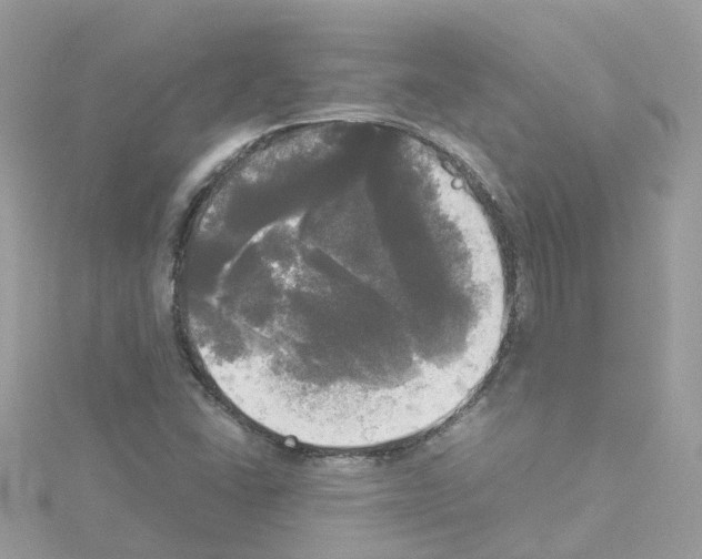 X0000114111406200911161109