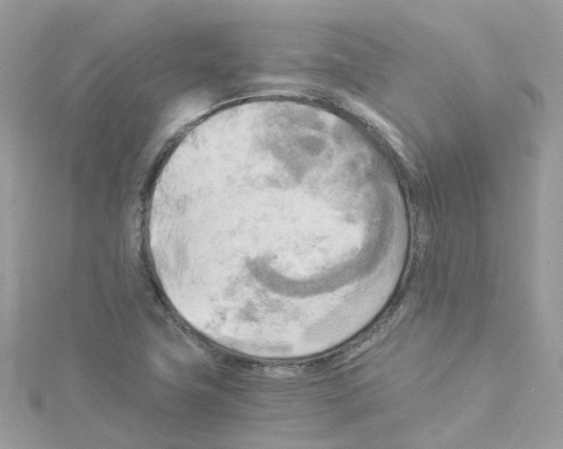 X0000114111411200911161109