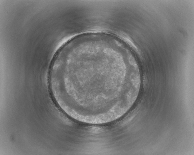 X0000114111412200911161109